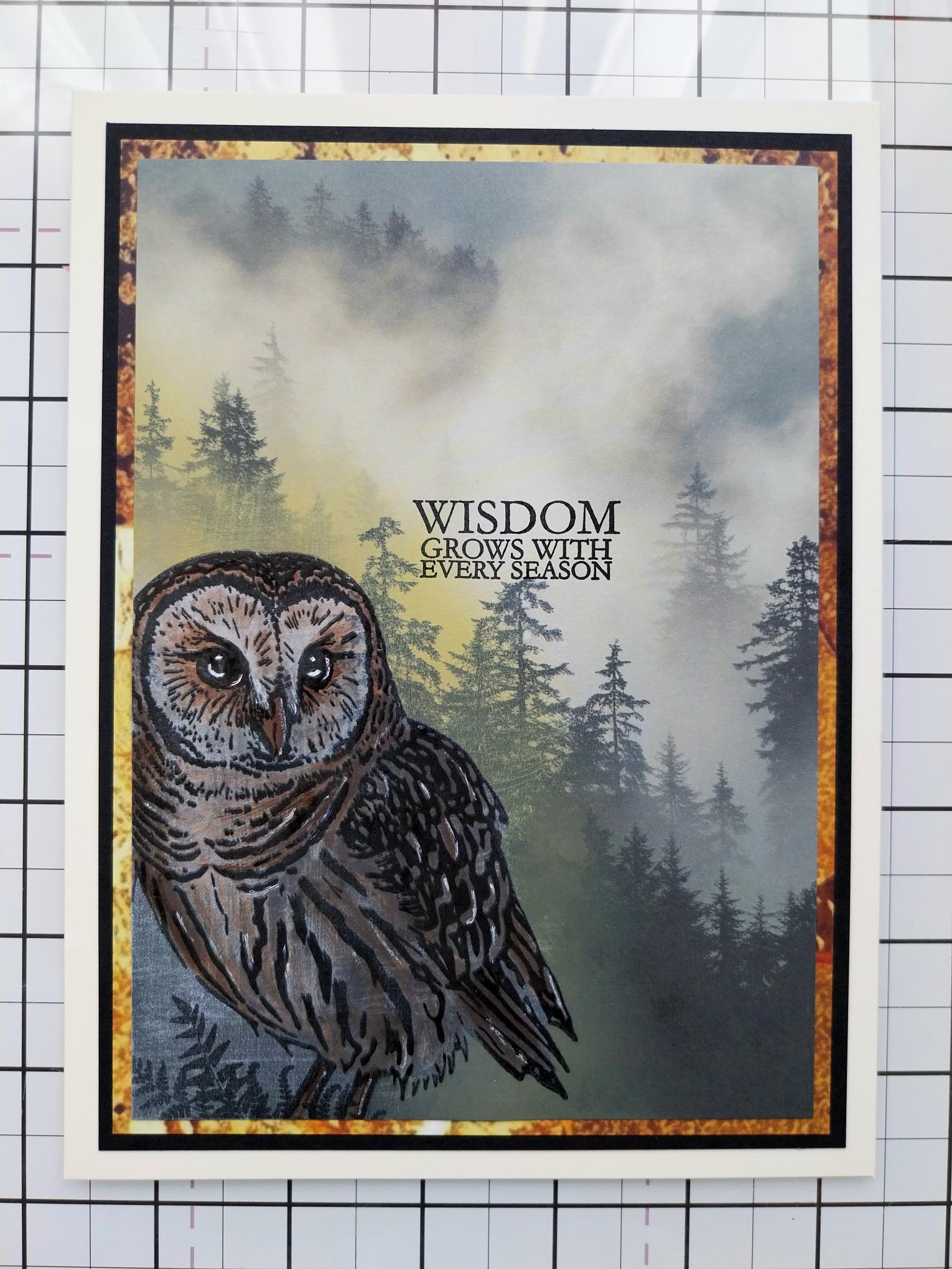 How To Guide - Step 6