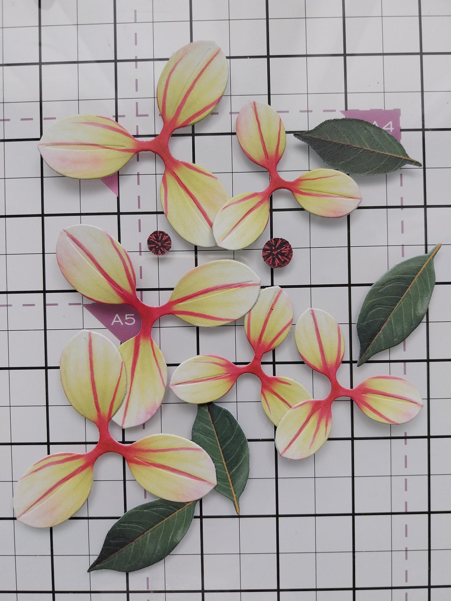 How To Guide - Step 1