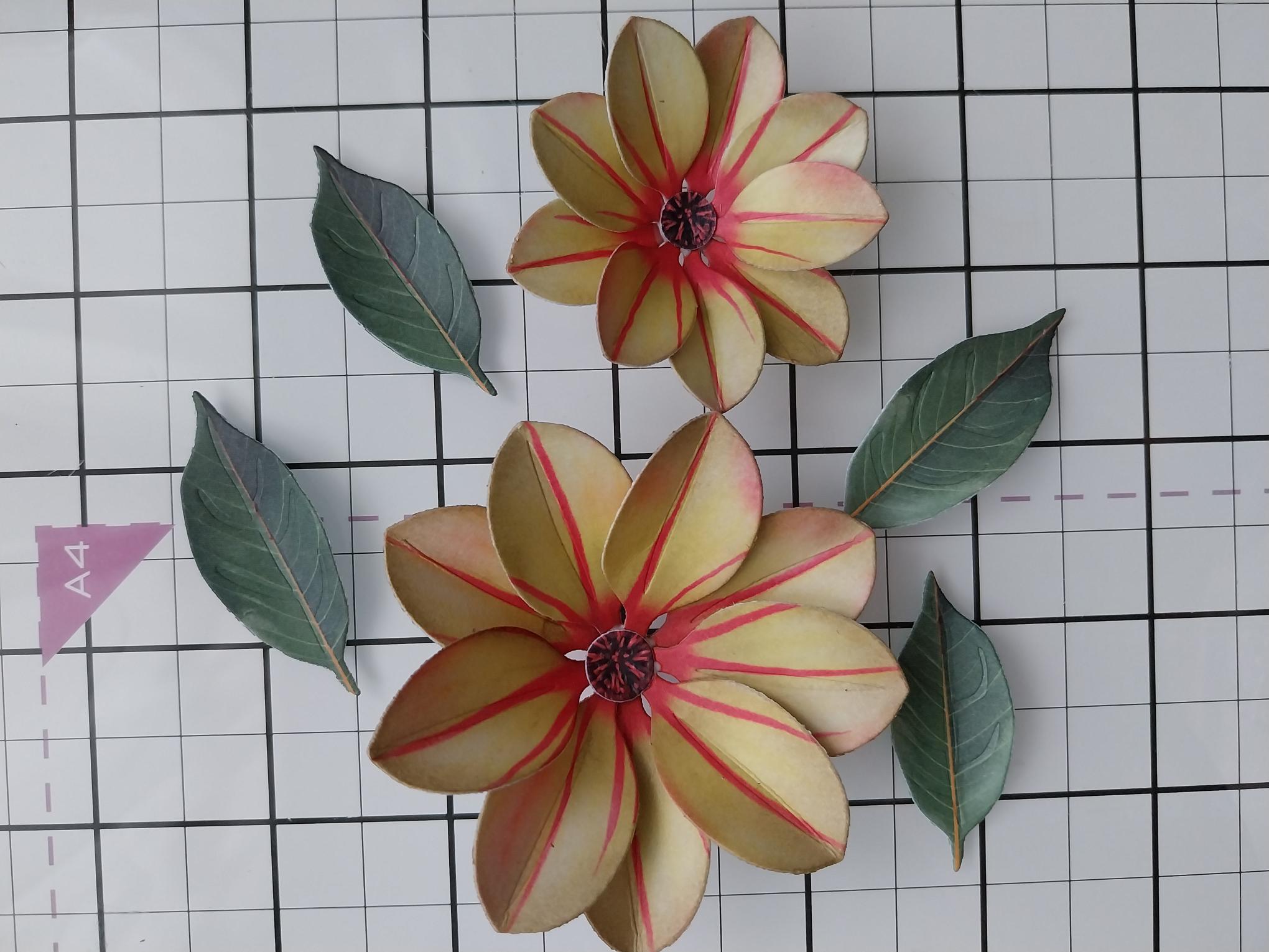 How To Guide - Step 2