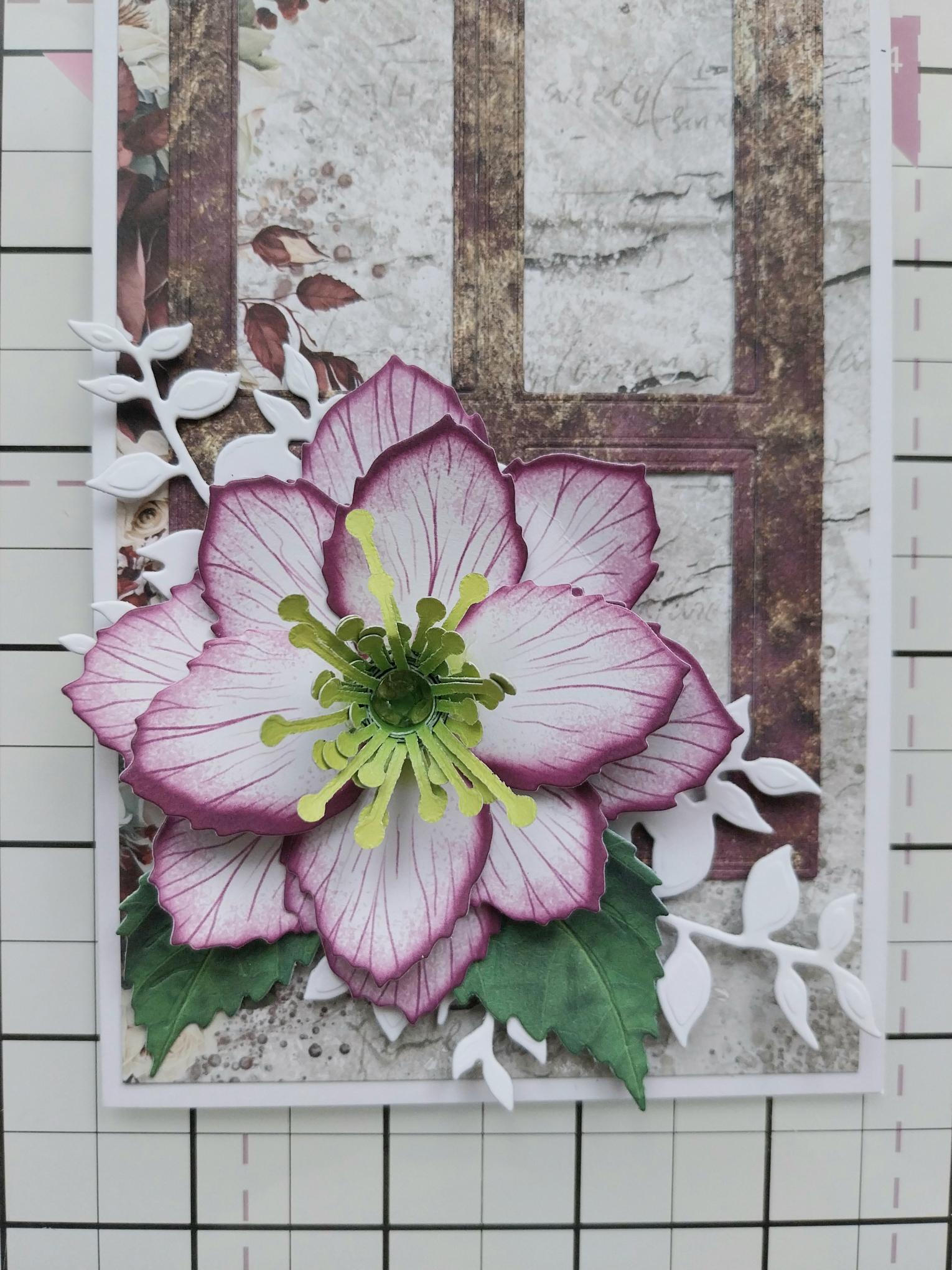 How To Guide - Step 5