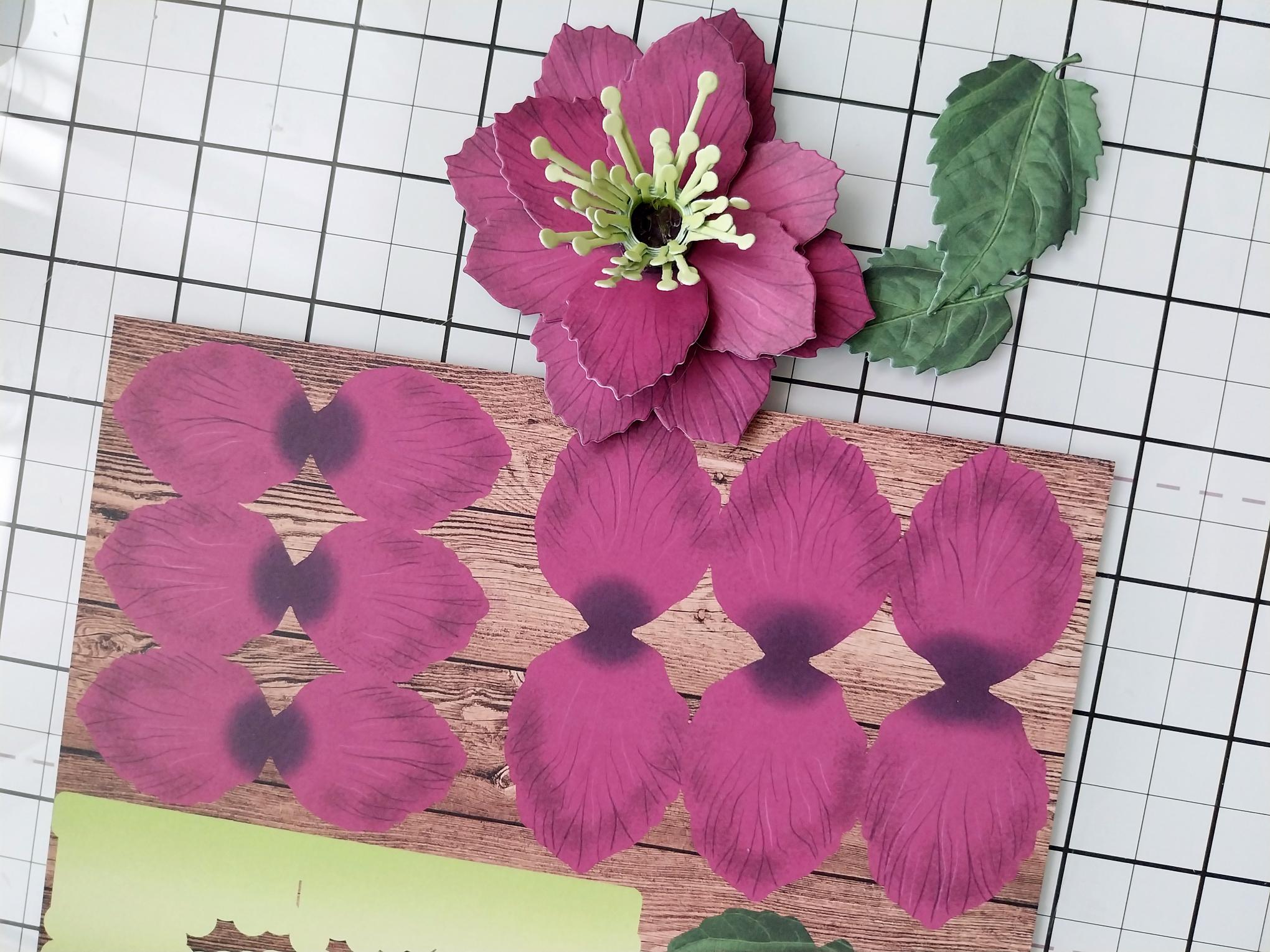 How To Guide - Step 1