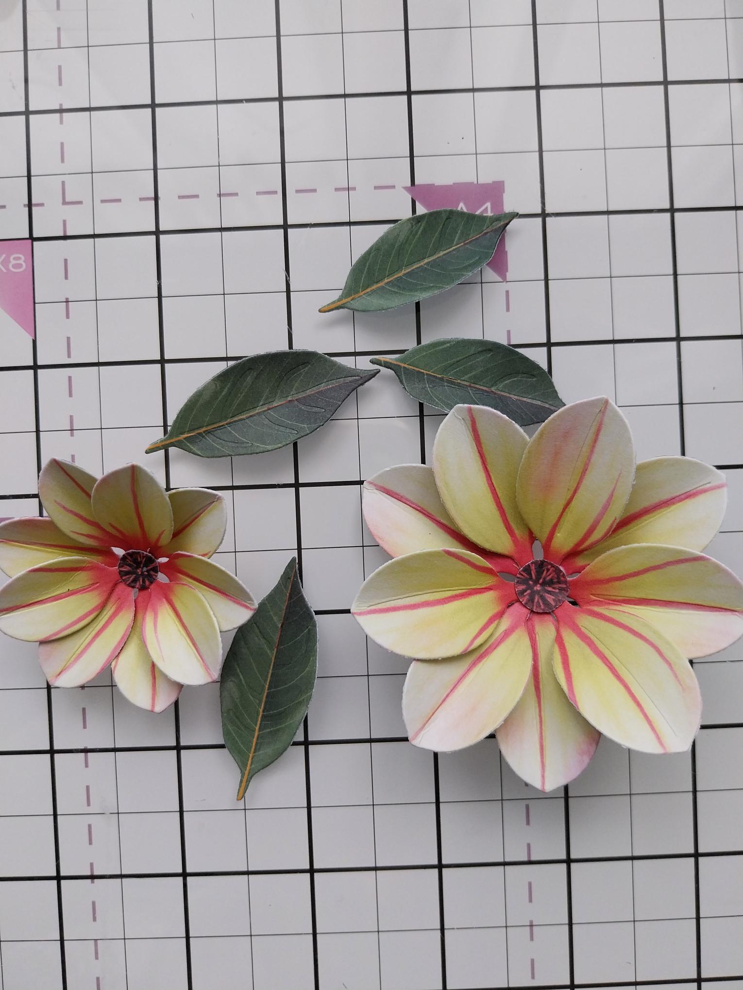 How To Guide - Step 2