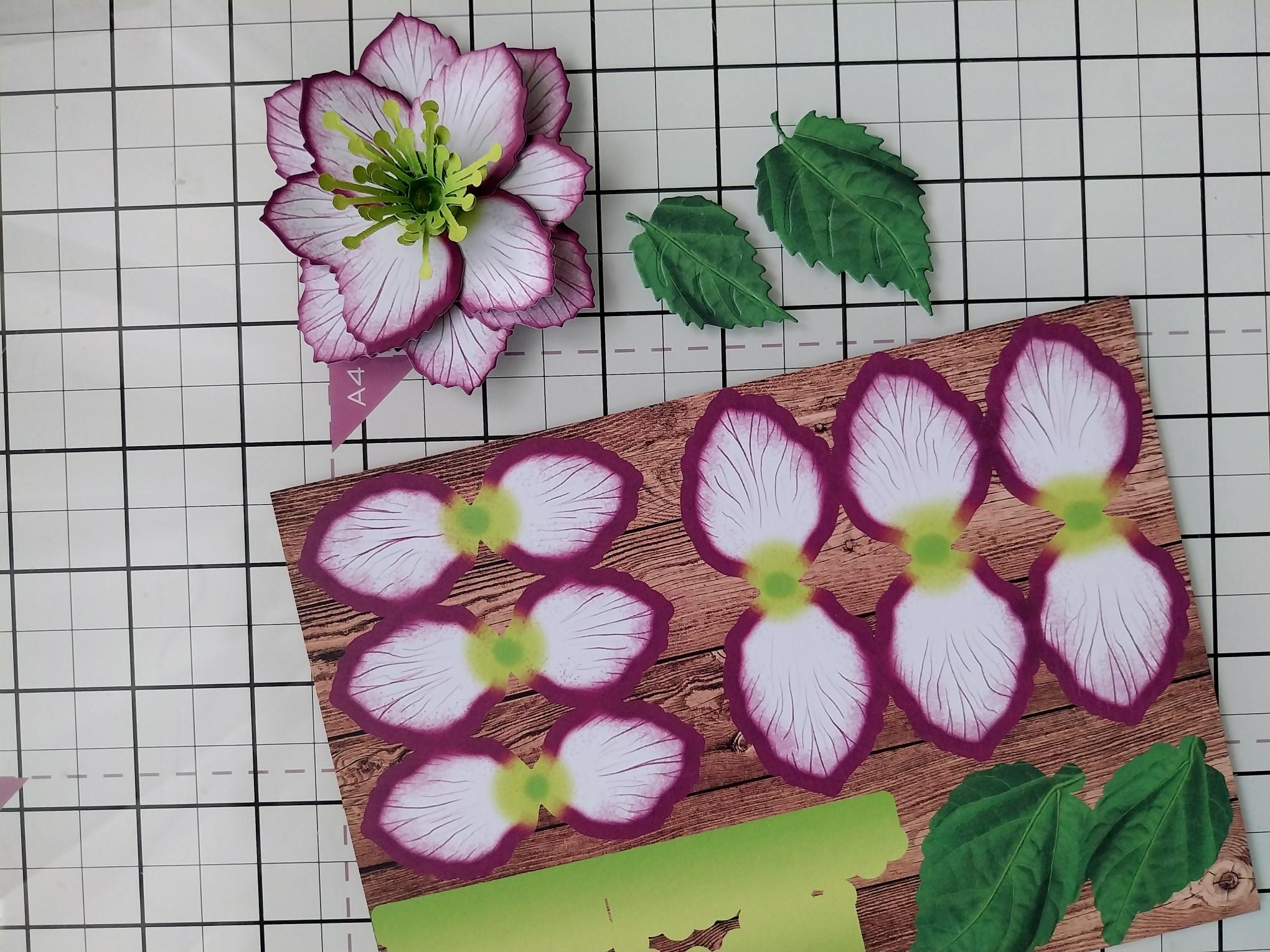 How To Guide - Step 1