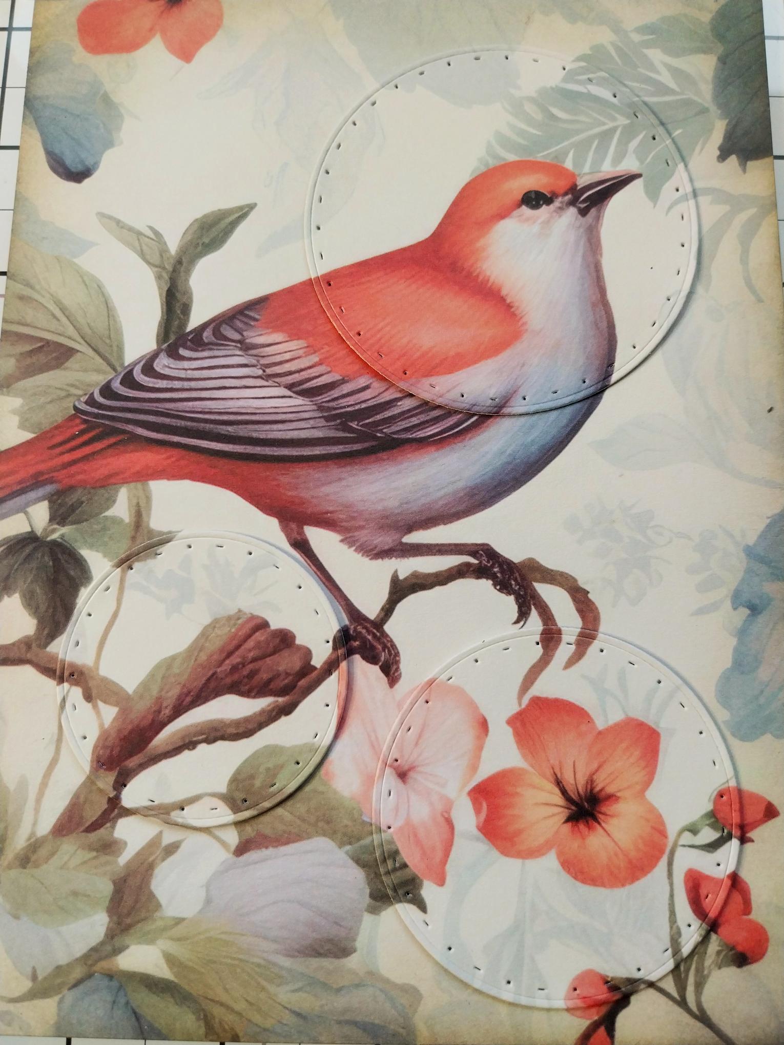 How To Guide - Step 4