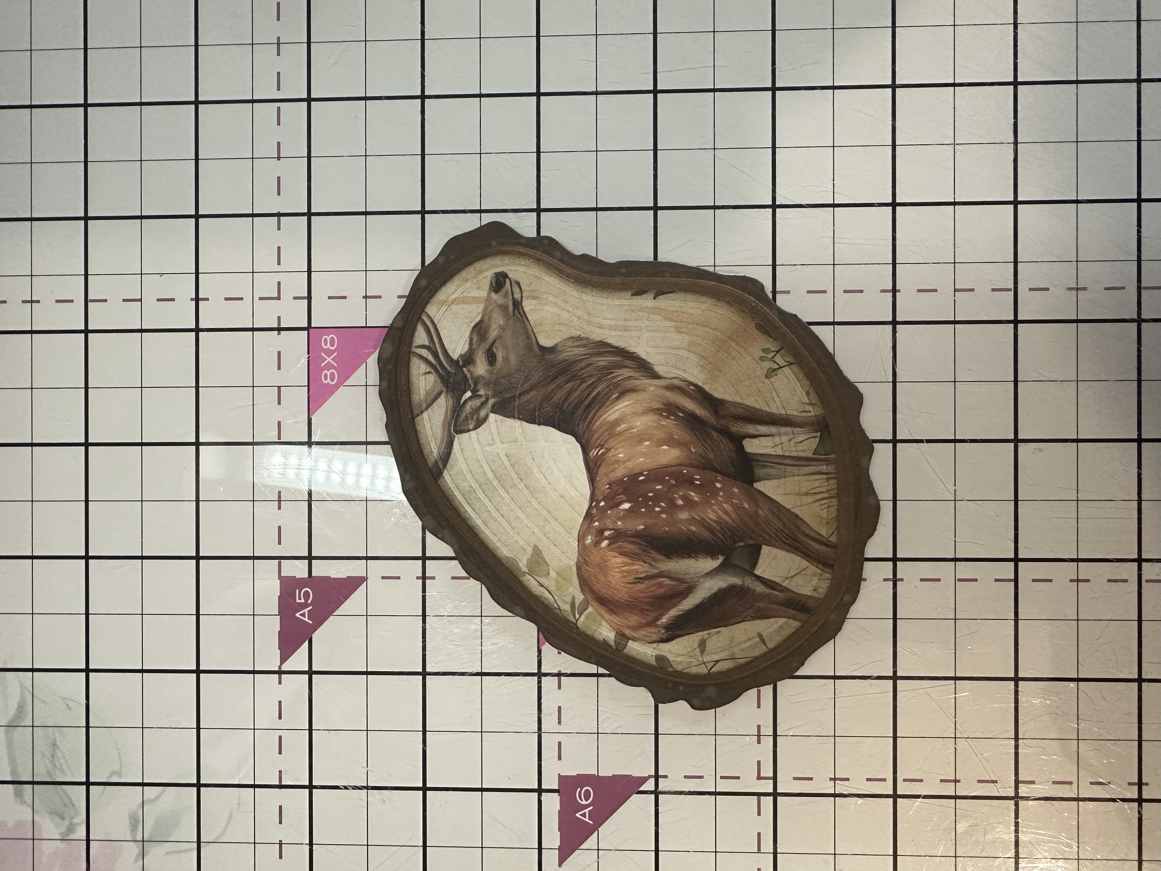 How To Guide - Step 5