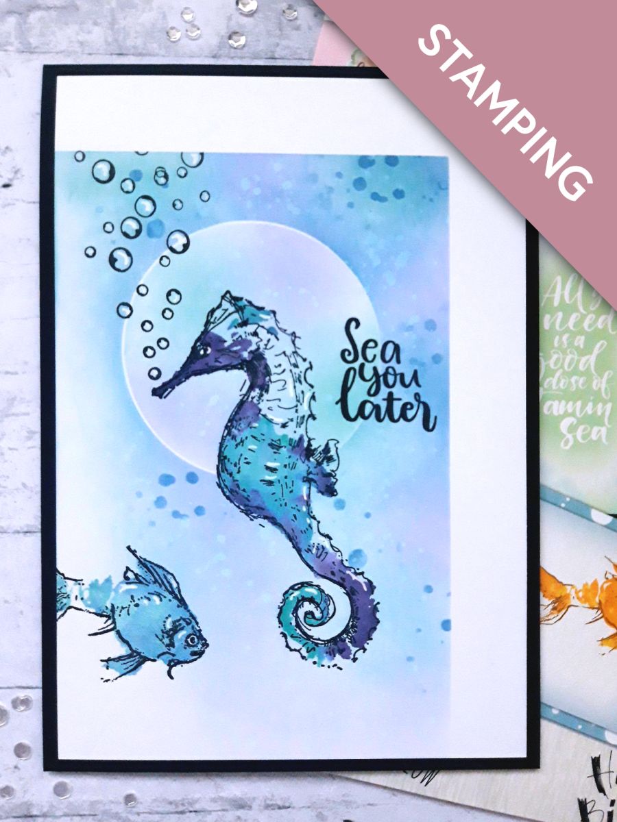 ¡Nos vemos en el mar!