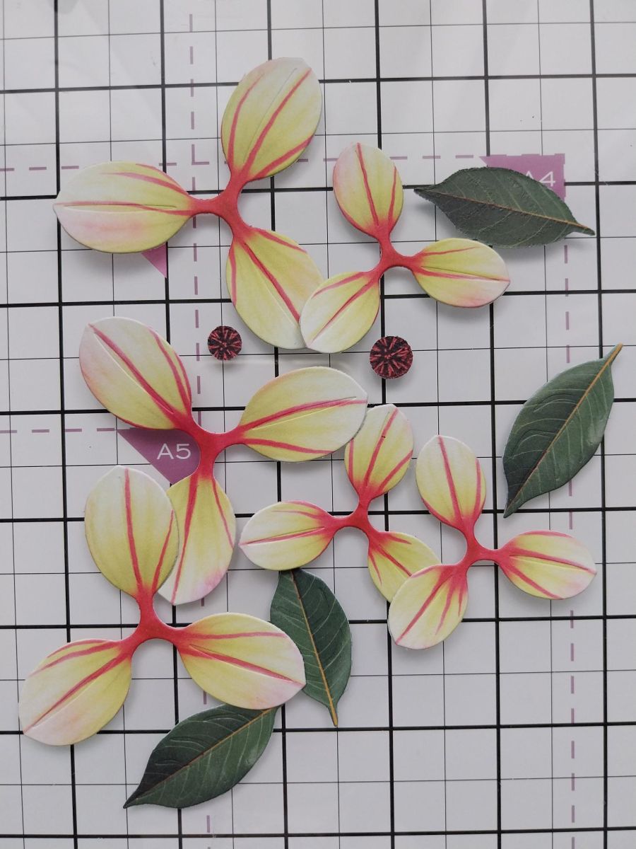 Tutorial - Passaggio 1