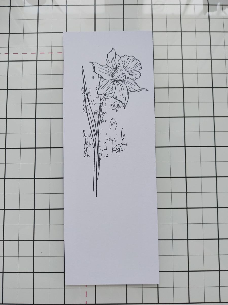 Tutorial - Passaggio 6