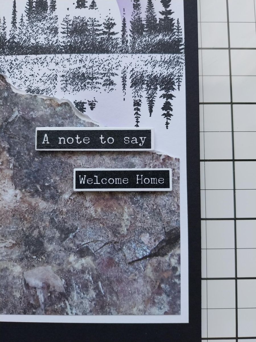 Guía - paso 11