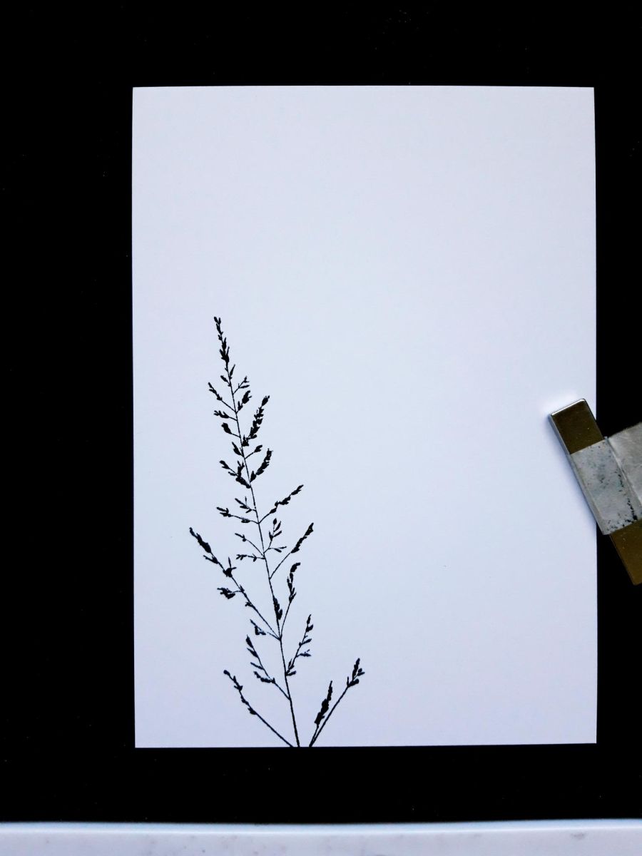 Tutorial - Passaggio 1