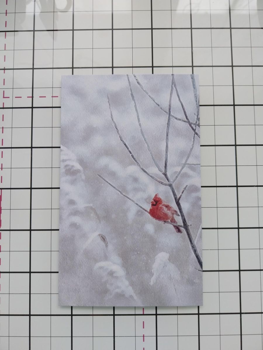 Handleiding - stap 1