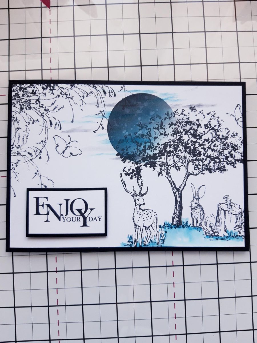 Tutorial - Passaggio 11