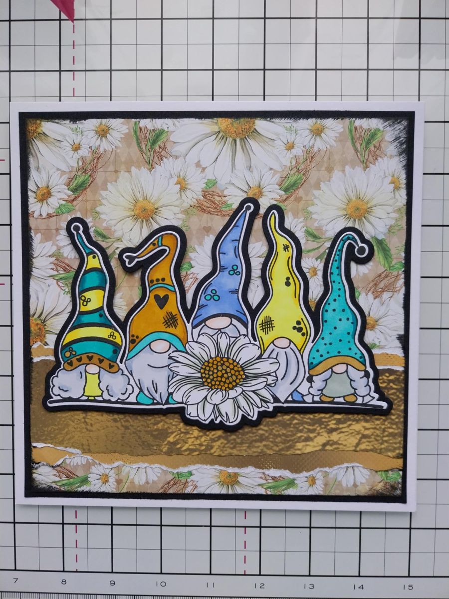 Guía - paso 11