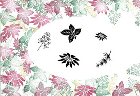Thumbnail Product 1