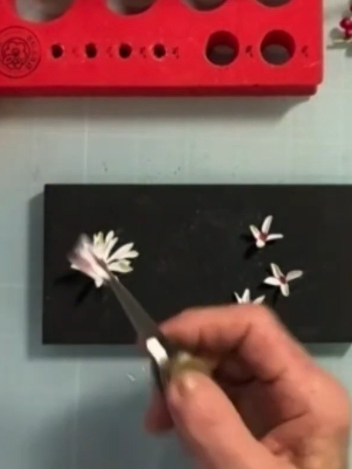 Step 4: Lightly mist the coloured petals with water to activate the paper. Hold each petal and spray gently to dampen 