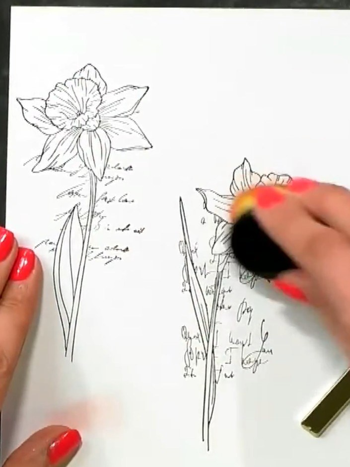 Step 2: Using a blending brush with black ink, add a halo effect around the edges of the stamped daffodils. Gently bru