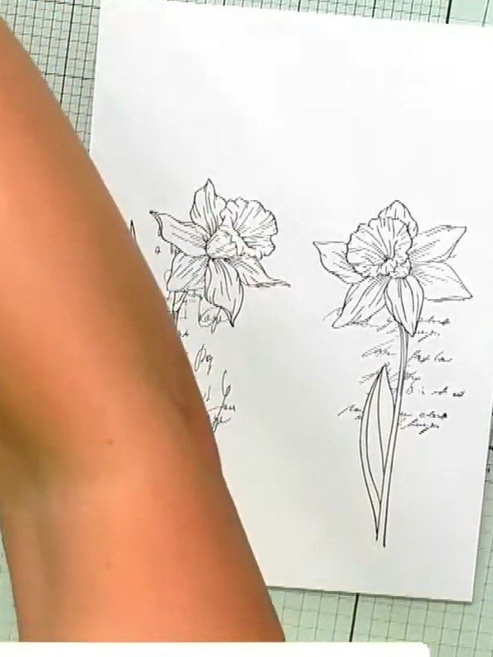 Step 1: Stamp the daffodil design from the Sketched Florals A5 stamp set onto white card stock. Position the stamp to 