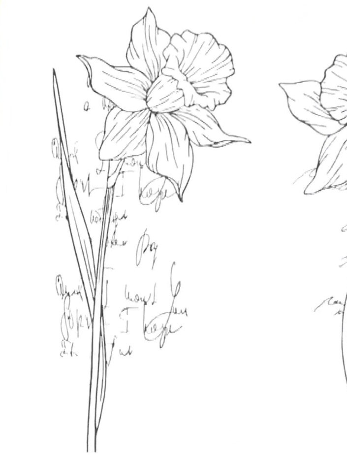 Step 4: Stamp the daffodil image twice onto white cardstock to create two identical images. These will be used for lay