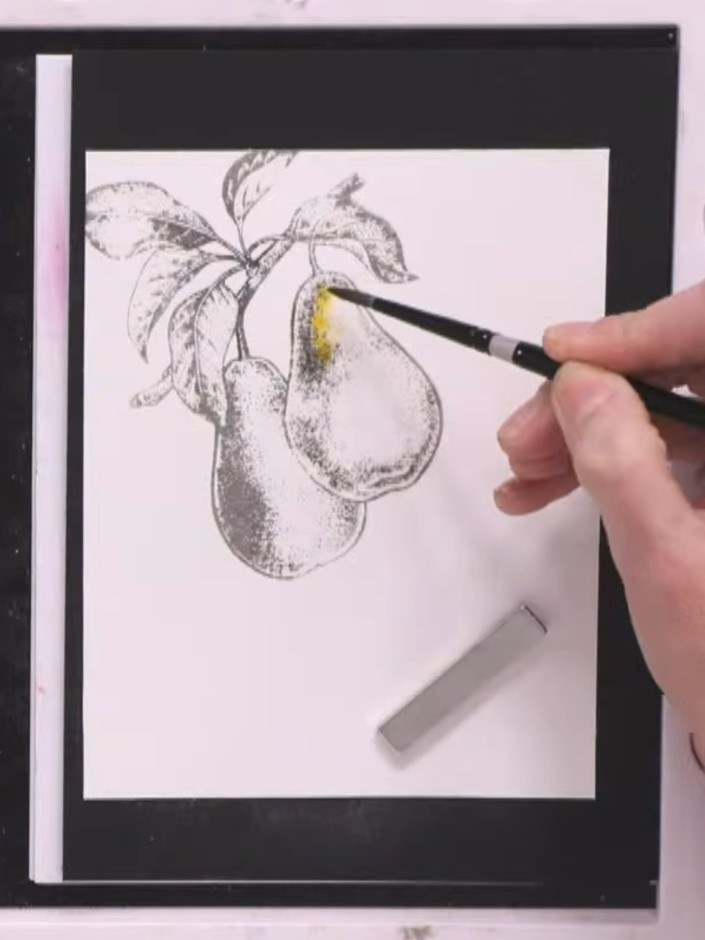 Step 4: Pick up orange watercolour on your brush and drop it into the wet area on the pear. Pounce with your brush to 