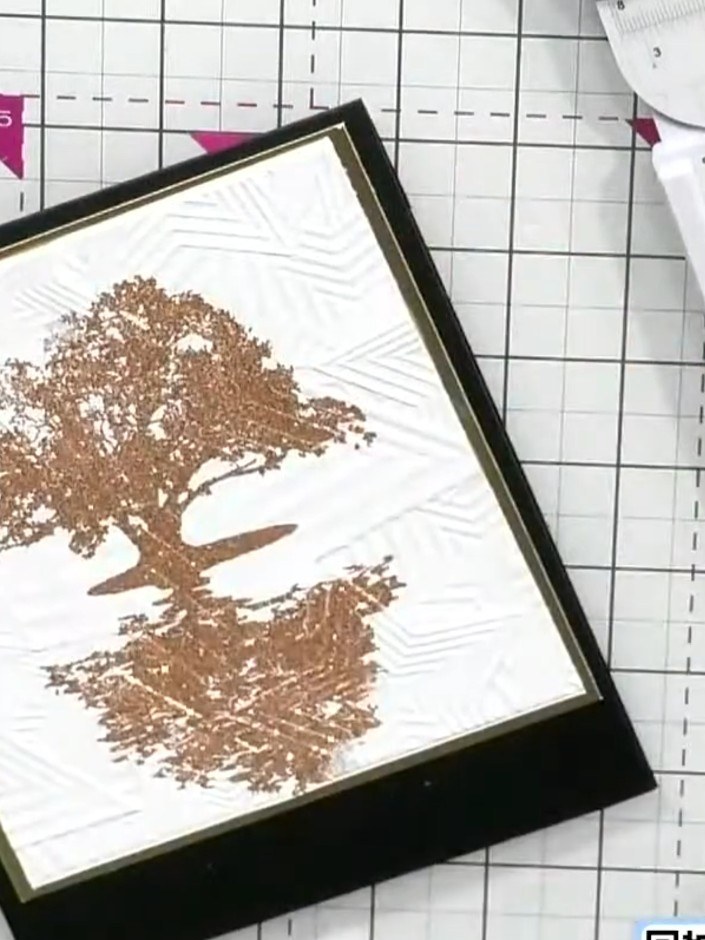 Step 5: Position the stamped and embossed card within the frame, ensuring the embossed geometric pattern border is vis
