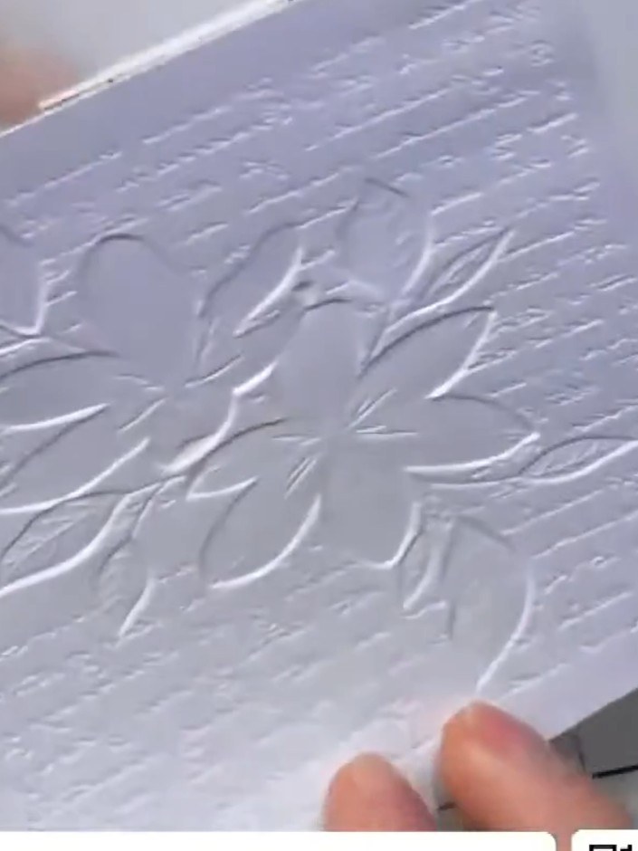 Step 2: Place your white cardstock into the embossing folder, ensuring it is positioned correctly. Run the folder thro