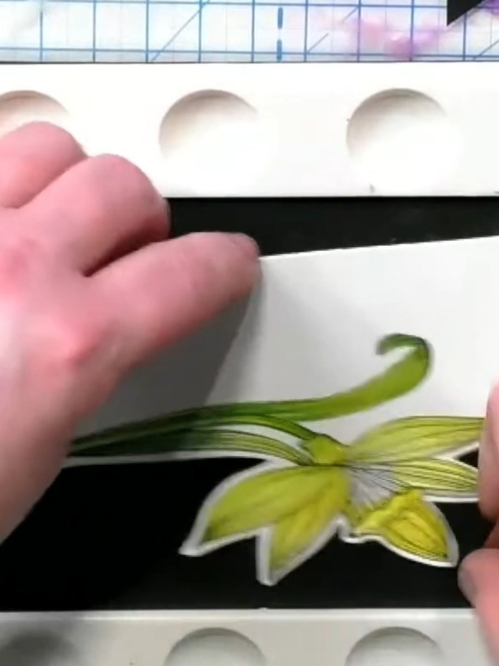Step 1: Stamp the daffodil image onto white watercolour card using black ink. Ensure the entire design is clearly stam