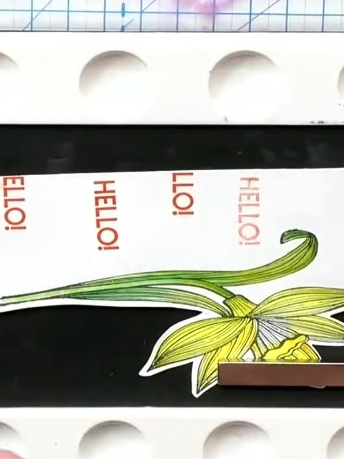 Step 5: Stamp the daffodil image again onto different coloured papers to create multiple versions for layering. Use gr