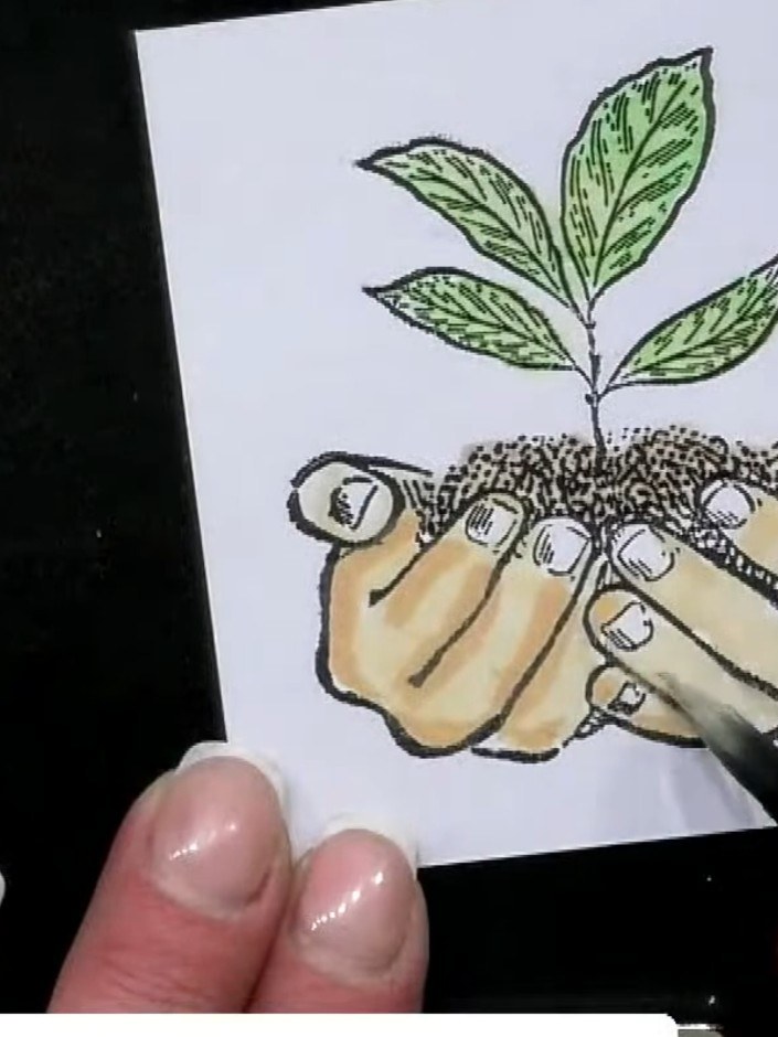 Step 7: Position decorative paper or cardstock behind your coloured image to create a backing layer. This will provide