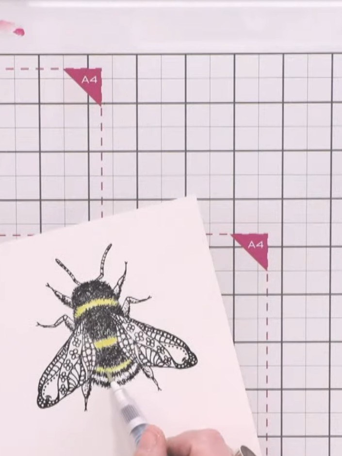 Step 2: Colour the yellow stripes on the bee's body using distress oxide ink in fossilized amber. Use a water brush to