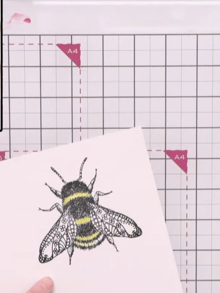 Step 3: Stamp the bee image a second time on a separate piece of white cardstock. Colour the wings using a different d