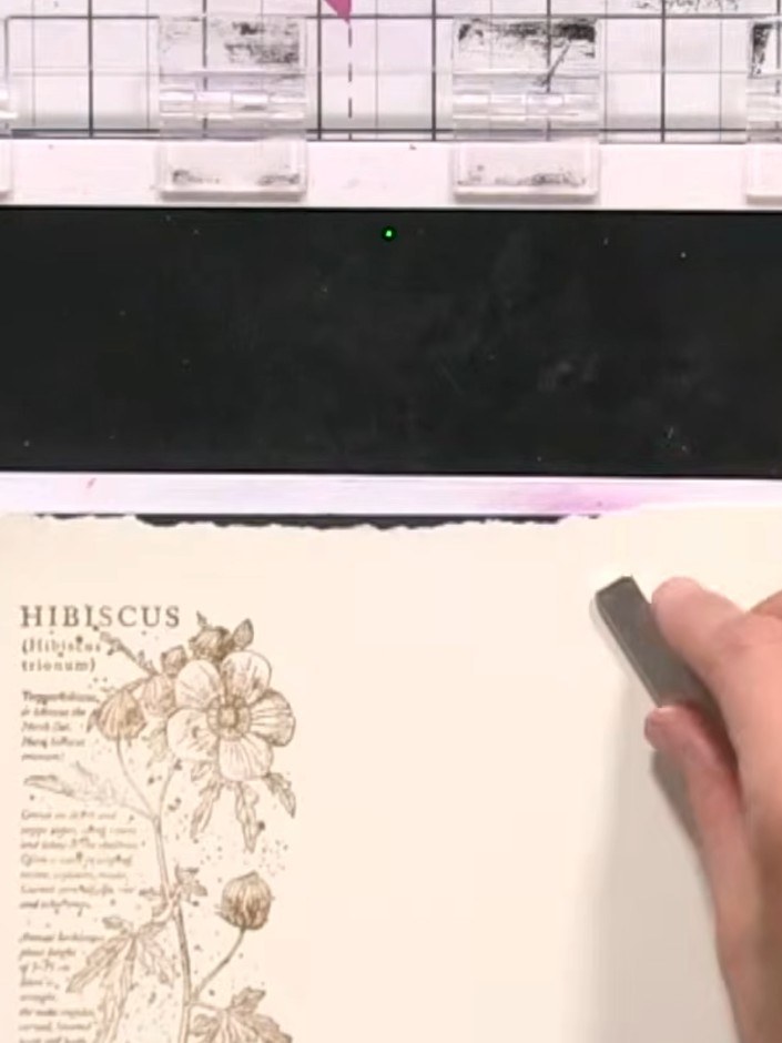 Step 2: Stamp the hibiscus image a second time onto a separate piece of cream cardstock using the brown ink pad.