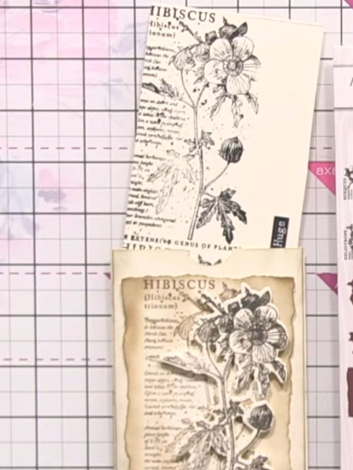 Hibiscus Seed Packet Effect Card with Wallet Insert - the finished project