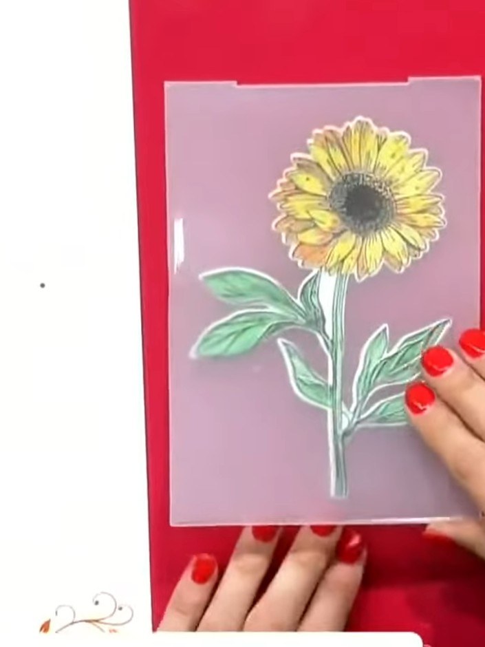 Passo 9: Fai passare la cartella per embossing nella tua macchina fustellatrice, usando le piastre adatte alla tua macchina.