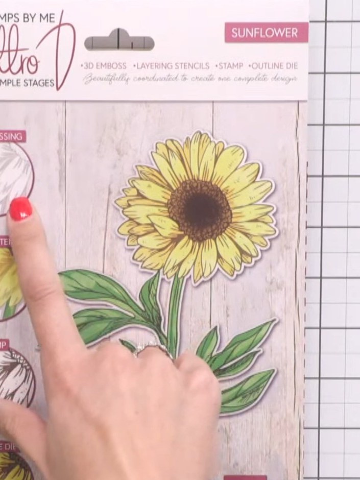 Passo 1: Take the 3D embossing folder from your Quattro D Sunflower set and run your cardstock through your die-cutting