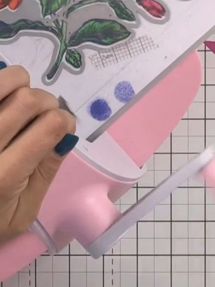 Passo 9: Run the stamped and coloured piece through your die-cutting and embossing machine to create a dimensional, rai