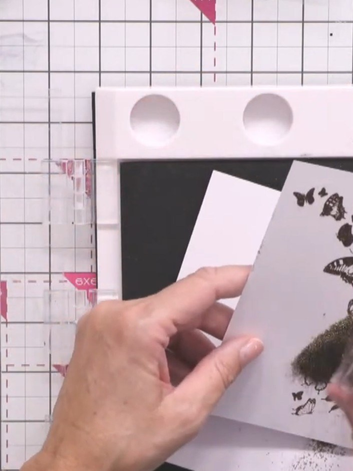 Passo 7: Stamp the butterfly cascade image onto a second white panel. Apply black embossing powder and heat emboss to s