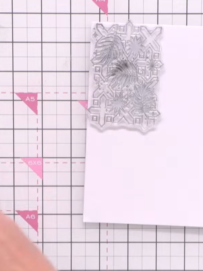 Step 1: Take a piece of white card stock and stamp background stamps in black ink to create textured panels. Position 