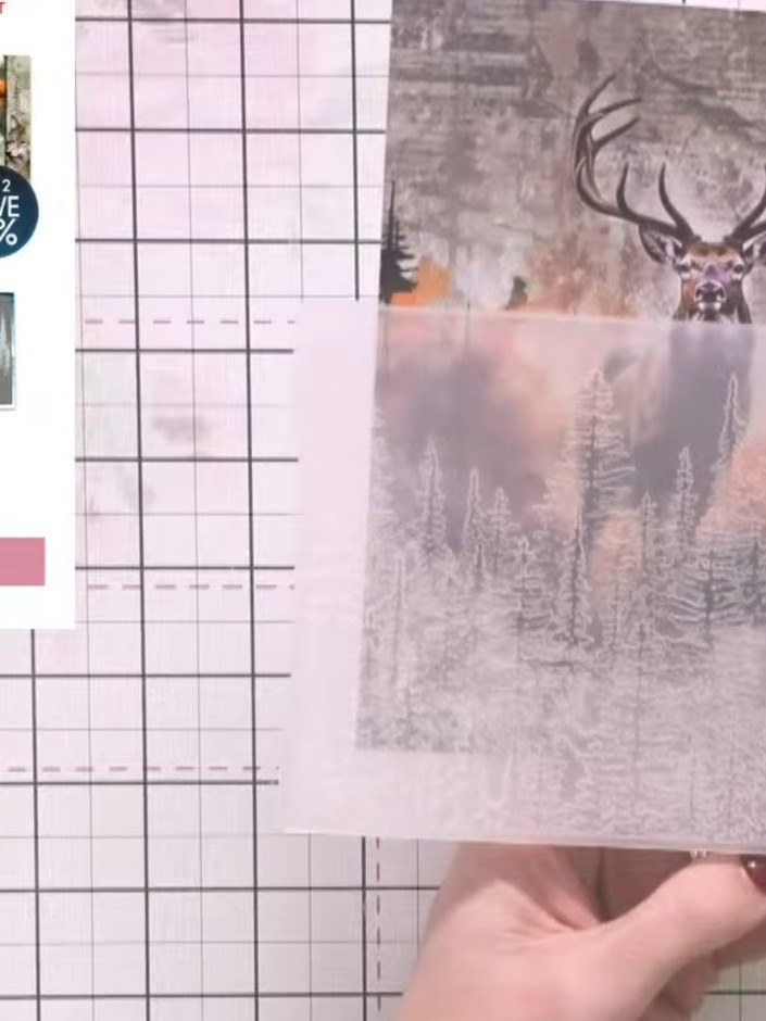 Step 3: Place your embossed stag panel onto the cutting mat. Position the waste-free die set traditional borders die o