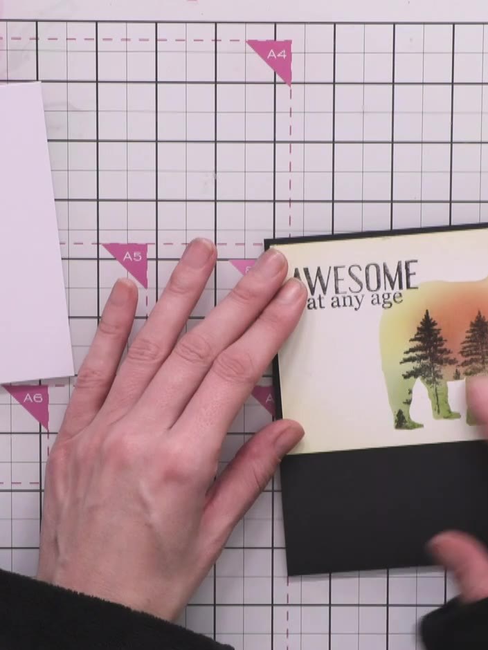 Step 12: Mount the finished bear artwork onto black cardstock to create a border. Adhere the mounted piece to your whit