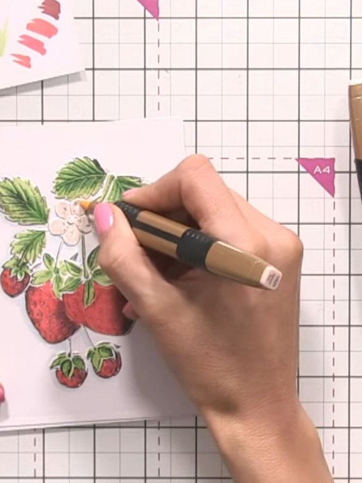 Step 9: Colour the strawberry flowers with a pale pink or cream marker. Add a small darker pink spot to the centre of 
