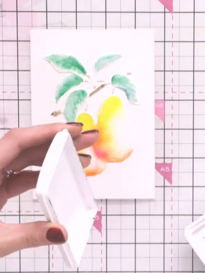 Step 6: Using a damp brush with diluted grey ink, add shadow definition around the exterior edges of the pears and lea