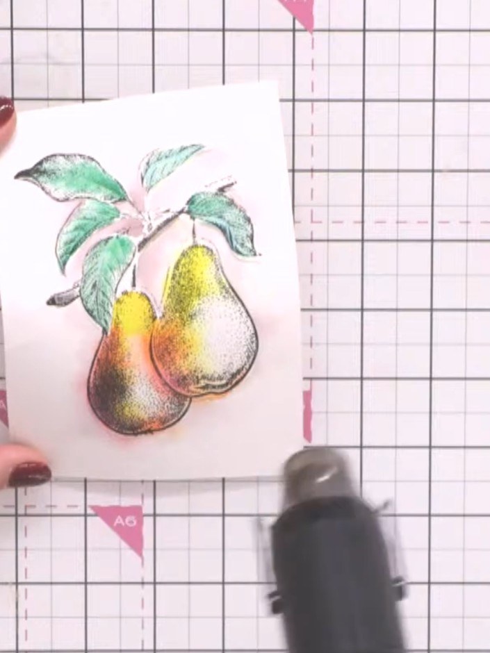 Step 8: If detail has been lost from watercolouring, place the stamped card back into the embossing folder and run thr