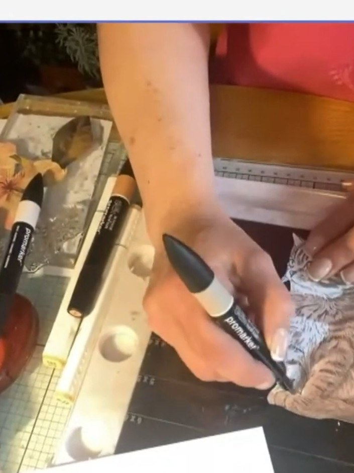 Step 6: Use a second brown marker to add darker tones and variation to the cat's fur. Build up the detail by adding sh