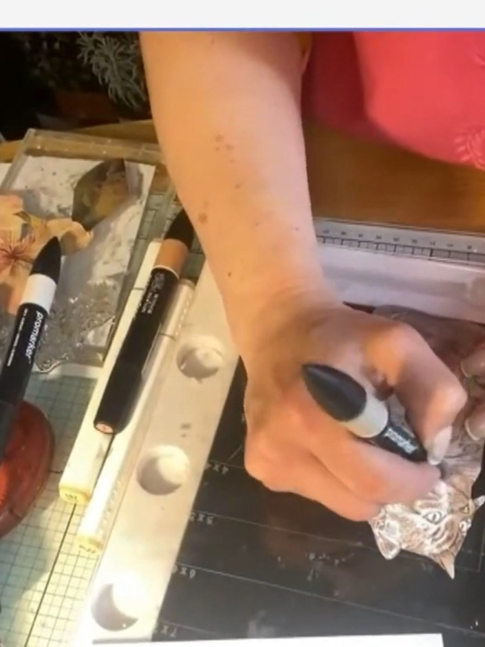 Step 7: Using a dark grey or black alcohol marker, carefully colour around the nose area. Work in small circular motio