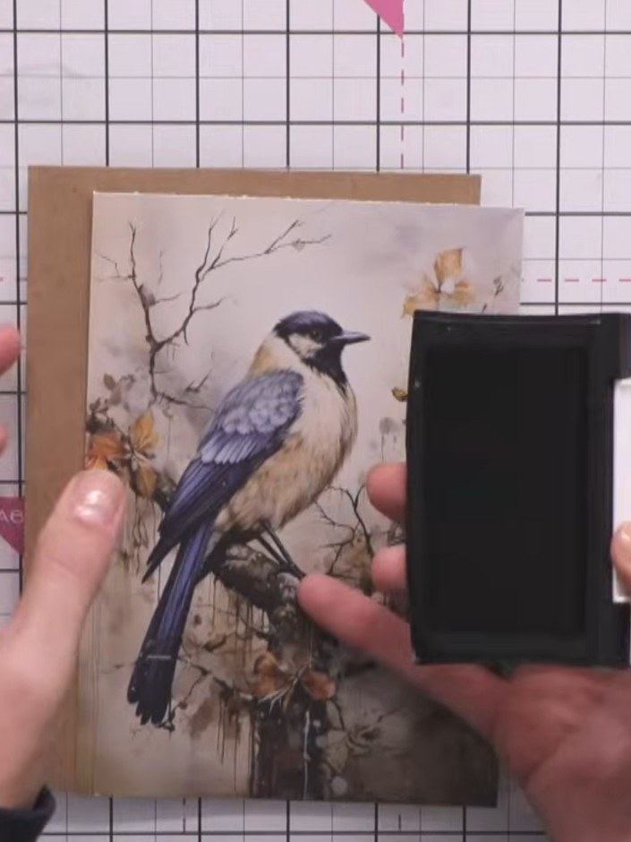 Step 4: Position the mounted bird image in the centre of your card blank. Adhere it in place using an ink pad or adhes
