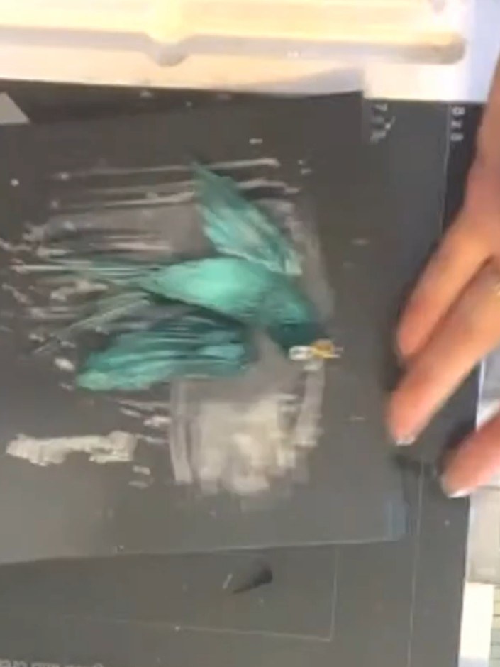 Step 10: Adhere a piece of vellum behind the stamped bird image to create a subtle layered effect. Attach the bird to t