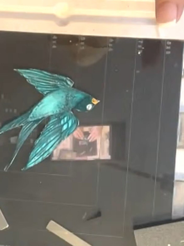 Step 5: Colour the stamped bird using watercolour and alcohol markers. Blend darker tones to define features such as t