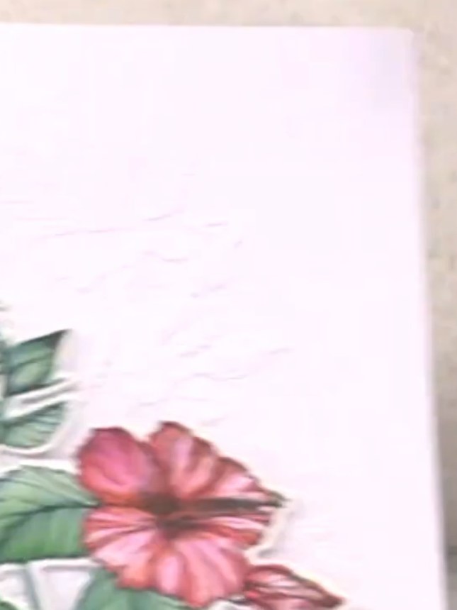 Step 5: Remove your card from the embossing machine to reveal the white-on-white embossed hibiscus design with subtle 