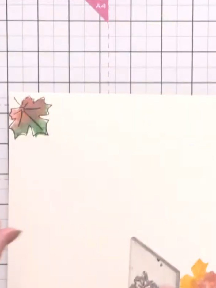 Step 5: Mat the stamped panel with patterned paper from the Sweet Fall paper pad. Position the watercoloured leaf pane