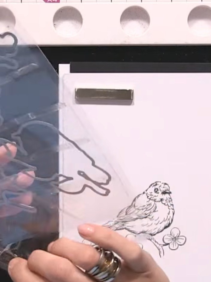 Step 4: Carefully remove the die-cut bird from the white cardstock. The bird should lift away cleanly from the surroun